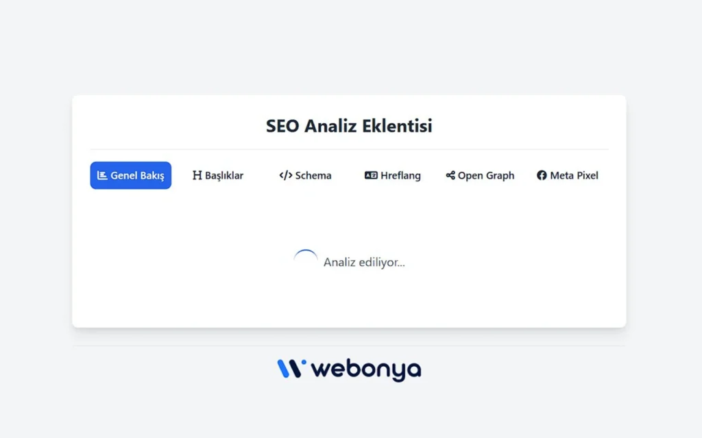 SEO Analiz Eklentisi Nedir?