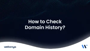 how to check domain history