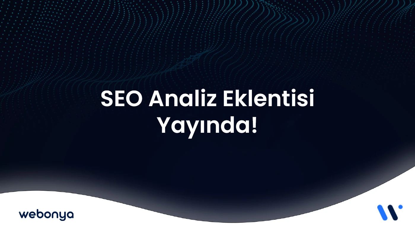 seo analiz chrome eklentisi